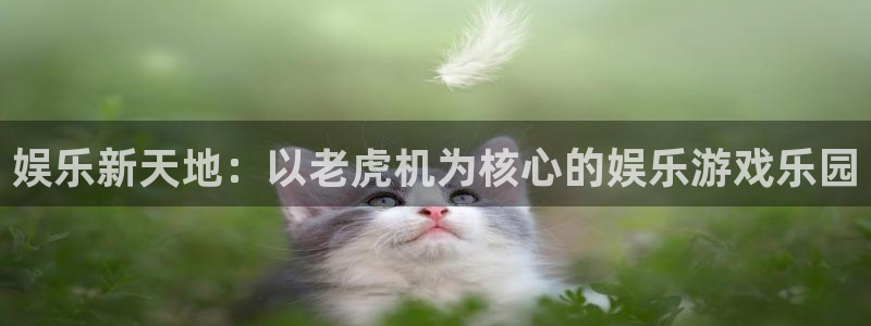 upload/20250701114914.jpg