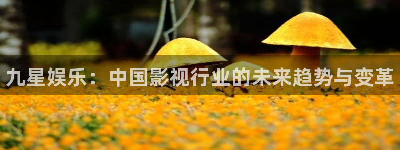 upload/20250701114914.jpg